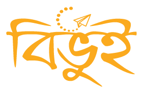 Bibhui Logo2